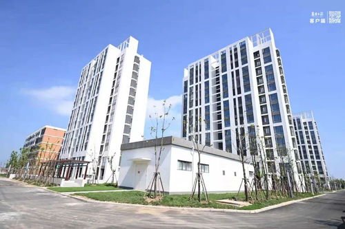 東津新區藍領公寓建設完工