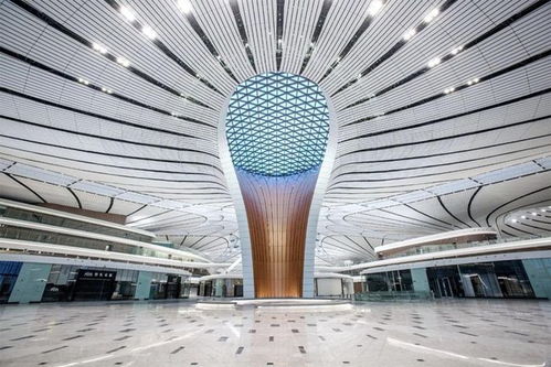 深耕建筑裝飾行業(yè) 寶鷹集團(tuán)獲兩項(xiàng)中國建設(shè)工程魯班獎