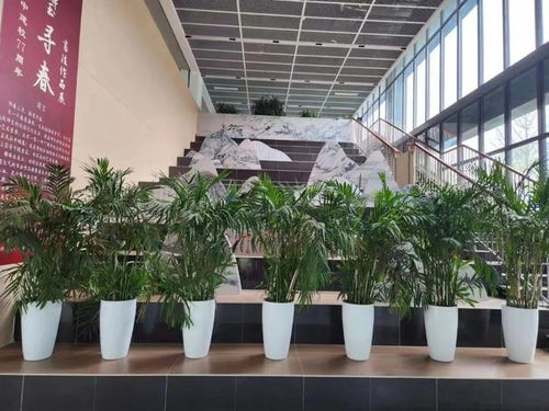 主動應對入學高峰,今年海淀實施了這45個基建項目