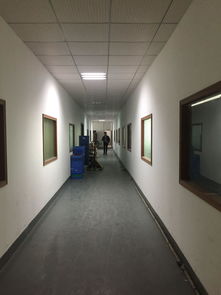 龍東義烏小商品市場旁大型工業區廠房出租,帶裝修